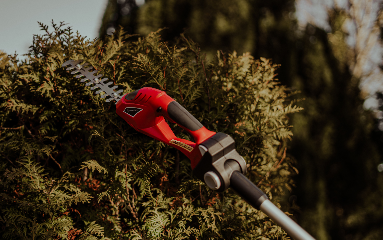 Akku-Heckenschere oder Akku Gras-& Heckenschere – Welches Tool ist das Richtige für mich?